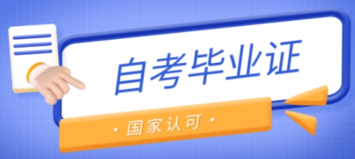 13.png