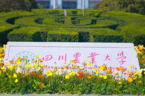 四川农业大学园林成人本科考什么内容？难不难？